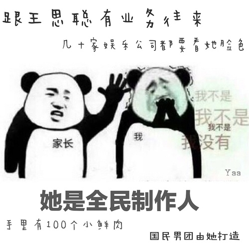 国服艾琳出装与铭文指南法装崛起的趋势分析